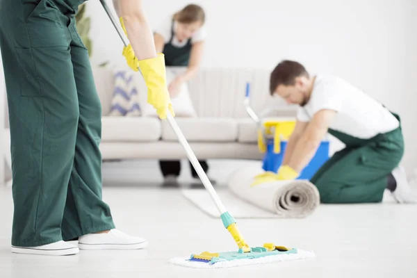 Professional carpet cleaning service in Oaklyn NJ