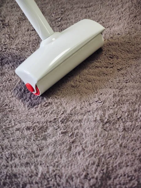 Professional carpet and upholstery cleaning
