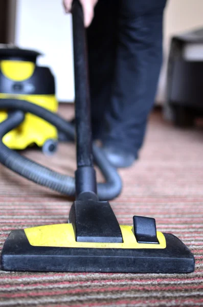Deep Steam Carpet Cleaning in Oaklyn NJ